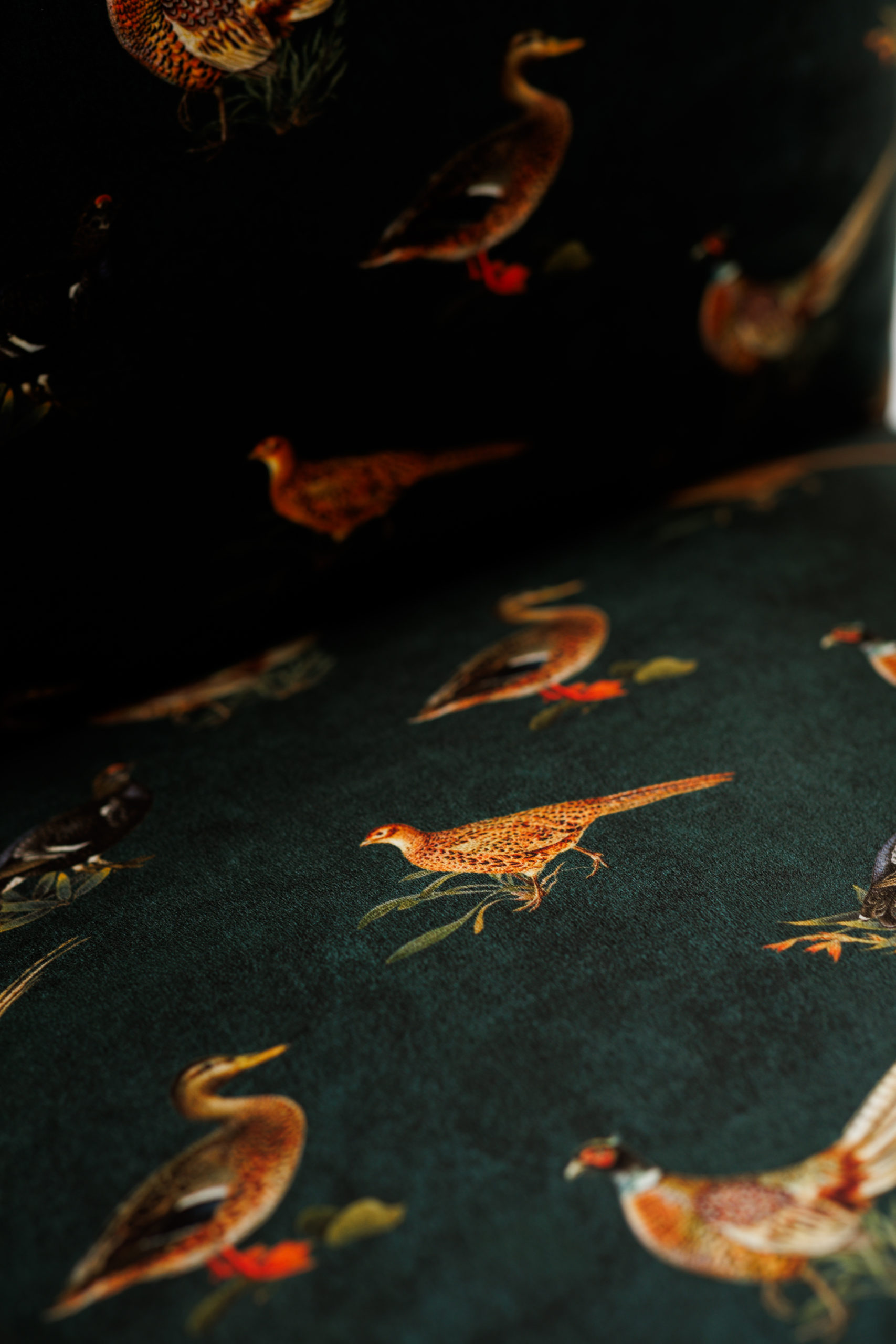 Free birds bársony kárpit